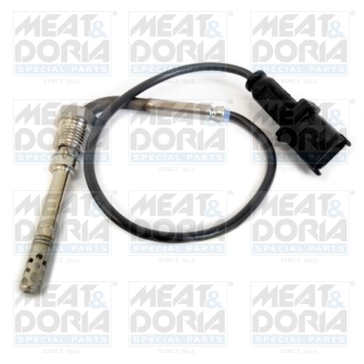 Sensor, exhaust gas temperature